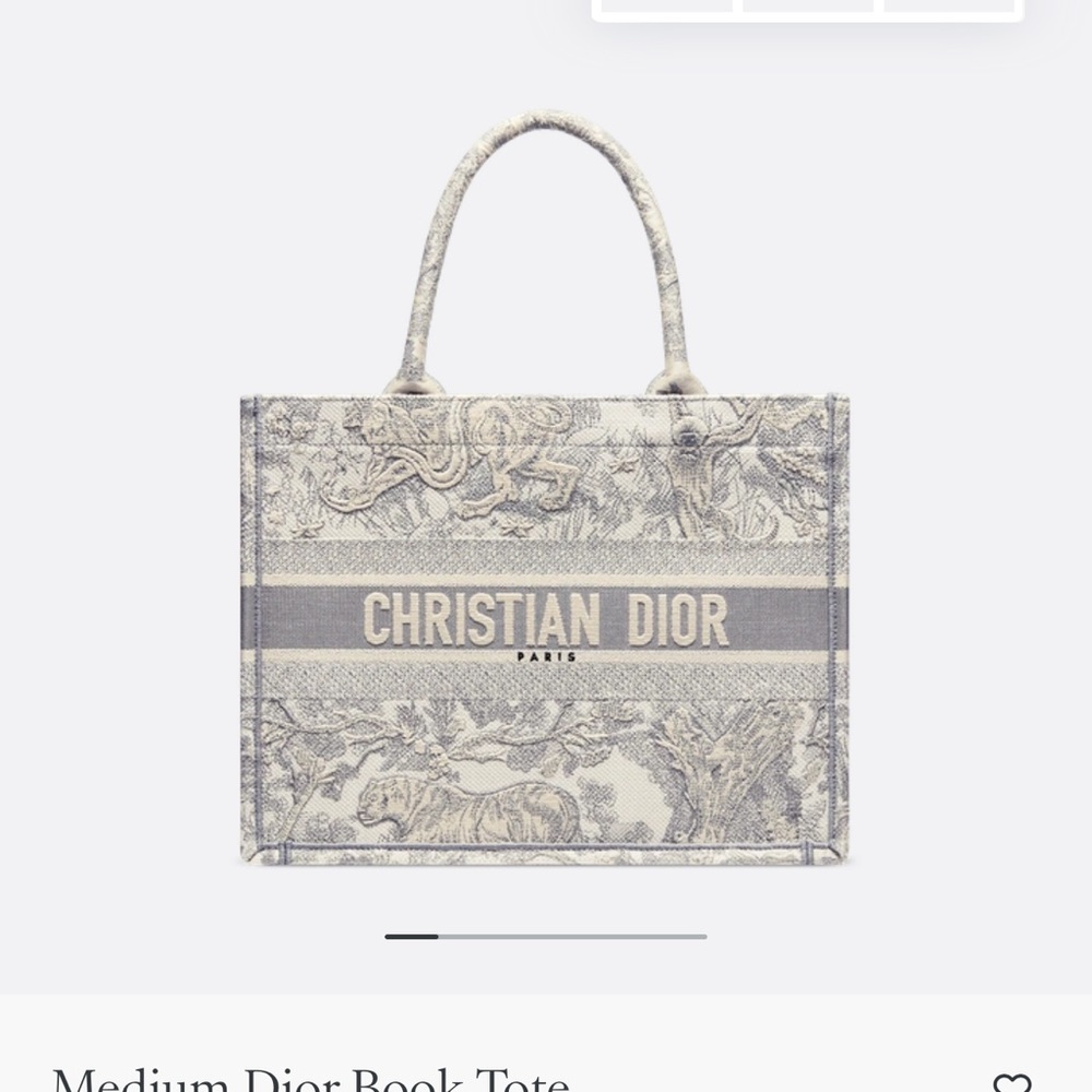 Medium Dior Beige and Gray Book Tote (Dust bag and Paper bag included) - Picture 1 of 5